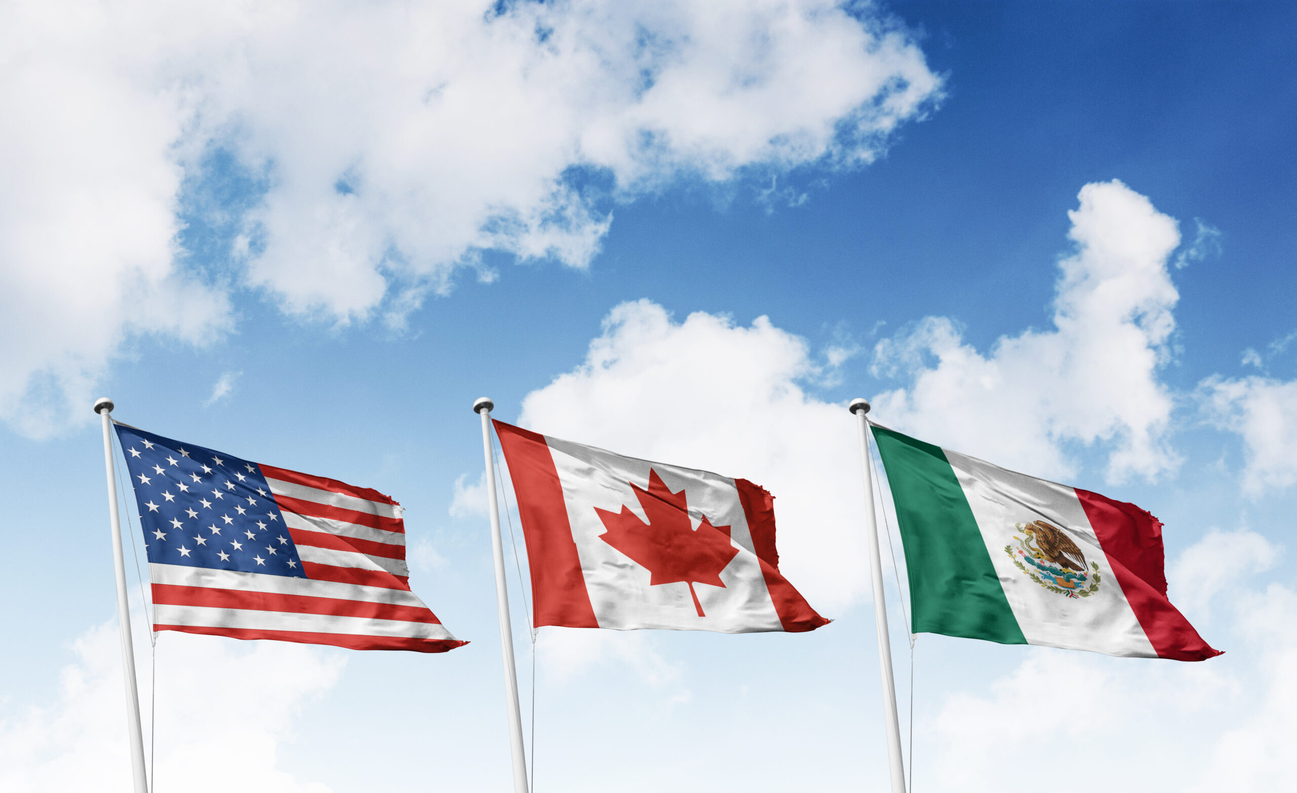 No Pain, No Gain On Canada and Mexico Tariffs